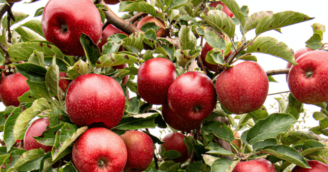 media-1680177612_2-1