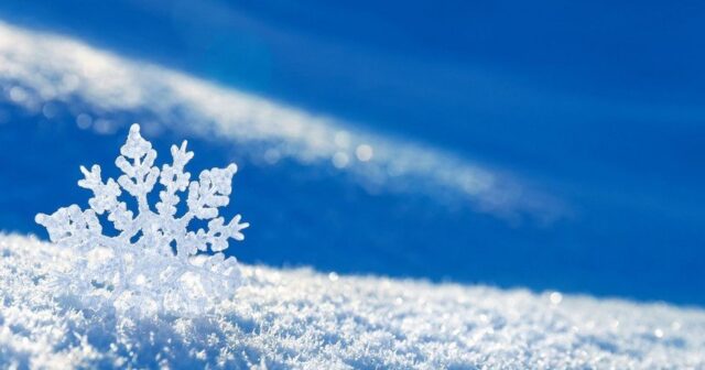 media-1702202434_bafcef91-f094-3ee4-bcf8-fdbcd2b25c6e_850