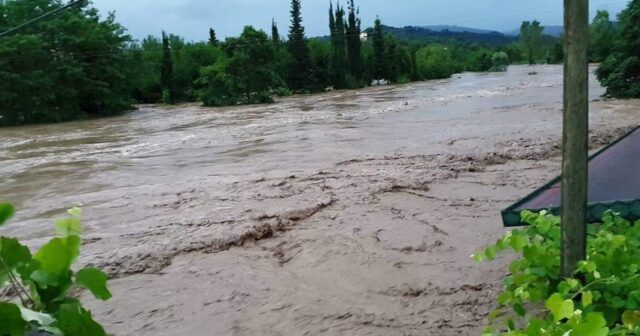 media-1721981100_4e5500f5-4957-30e2-9e84-c0c148849f26_850