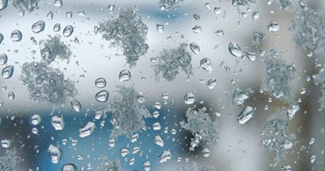 media-17324479892702210412_1200x630