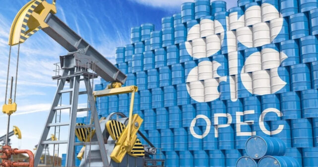 media-17426359524127922213_1200x630