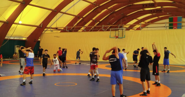 media-17574026636165645_1200x630