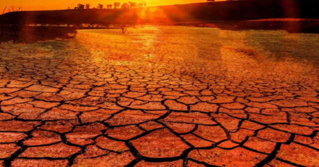 media-17702926711808859774_1200x630