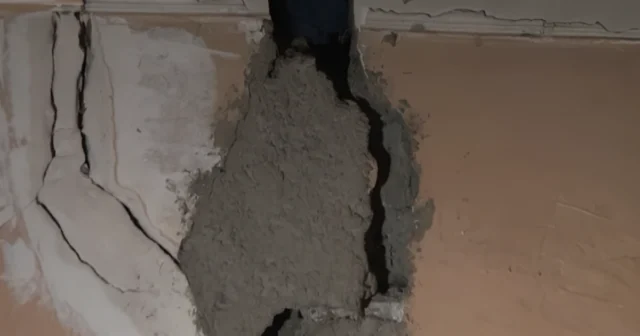 media-1770318435_gnkoilcitorfy5lnkf2zew4co7roddiviqzhghwu_1200