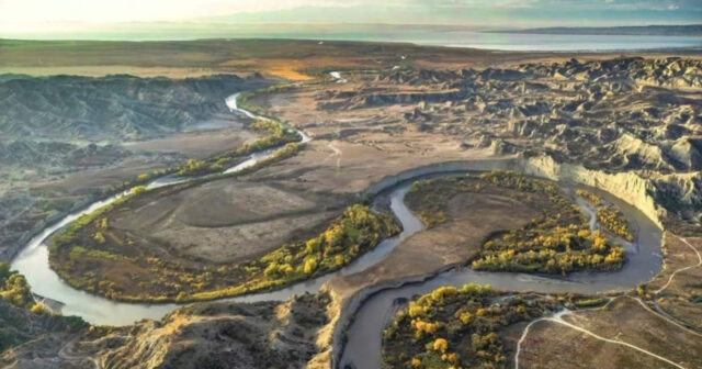 media-17703867782574547553_1200x630