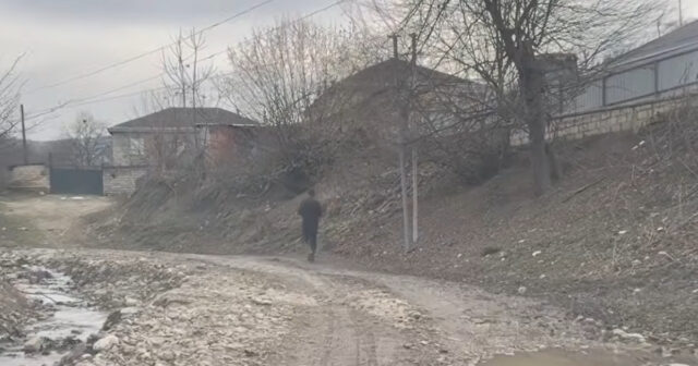 media-1770404796_fotojet-8