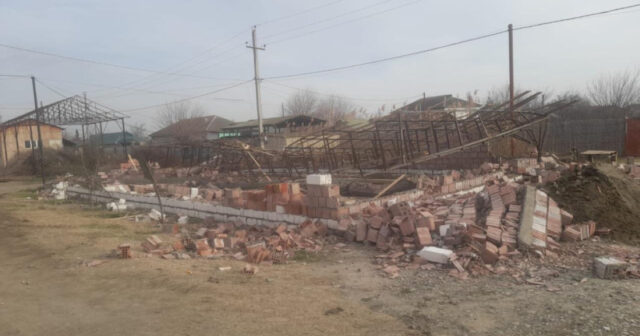 media-17704465214224213231_1200x630