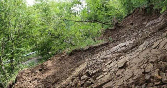 media-17705489815097527394_1200x630