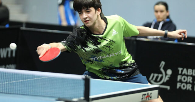 media-17705663905556146989_1200x630