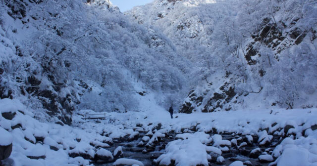 media-1770731141374652670_1200x630