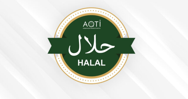 media-17707329522008851629_1200x630