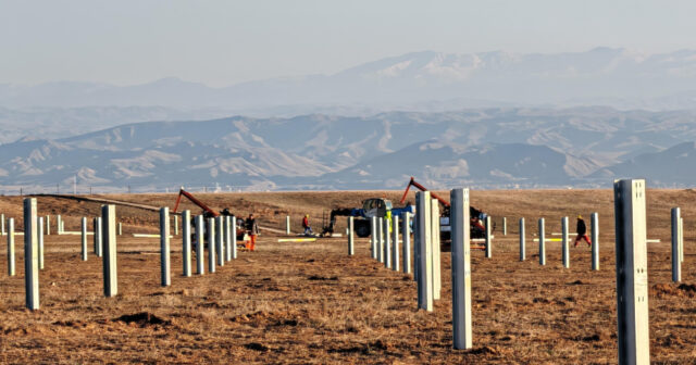 media-17708016802154859134_1200x630