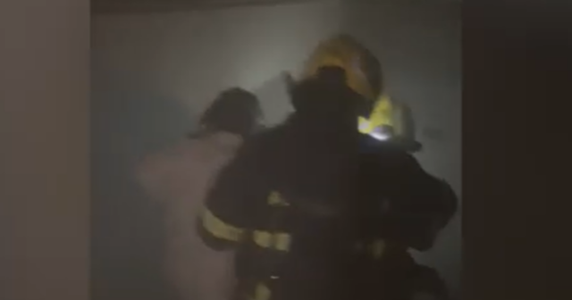 media-1771096490-11111111111111111111111