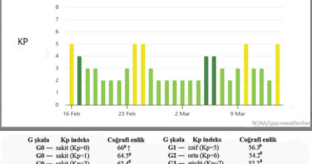 media-17712410354267526312_1200x630