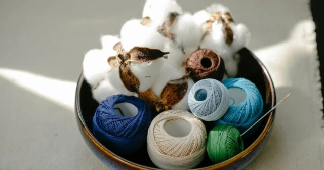 media-17714147702302262088_1200x630