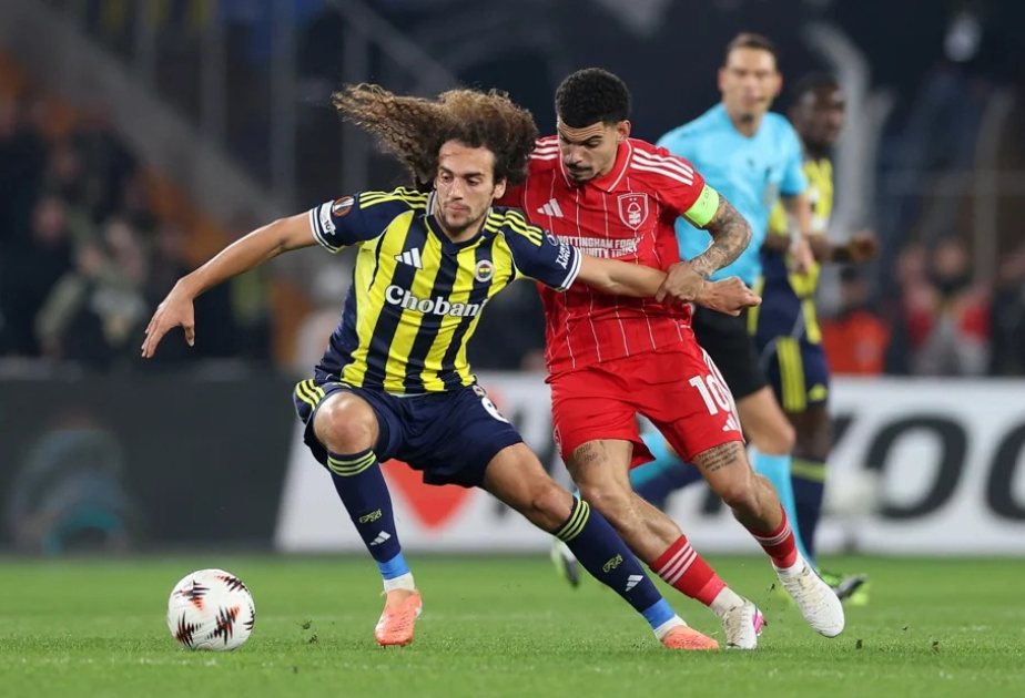 media-17715301792030526056_1200x630