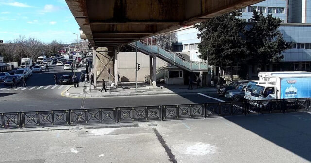 media-17715728583959948421_1200x630