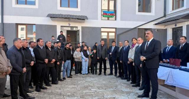 media-17715866273591523036_1200x630