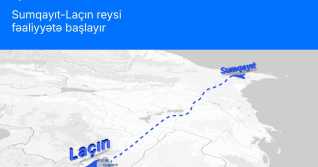 media-17716584713540048748_1200x630