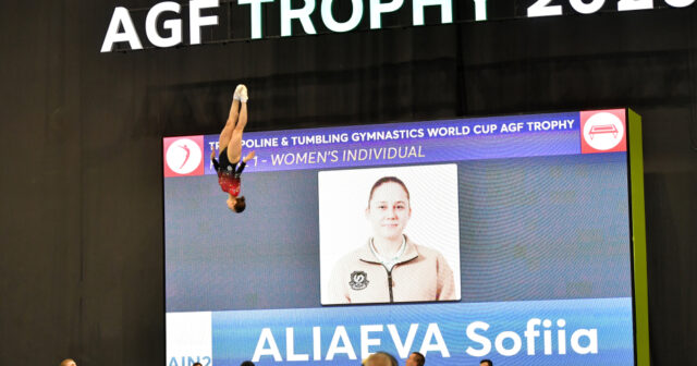 media-17717635456205938267_1200x630