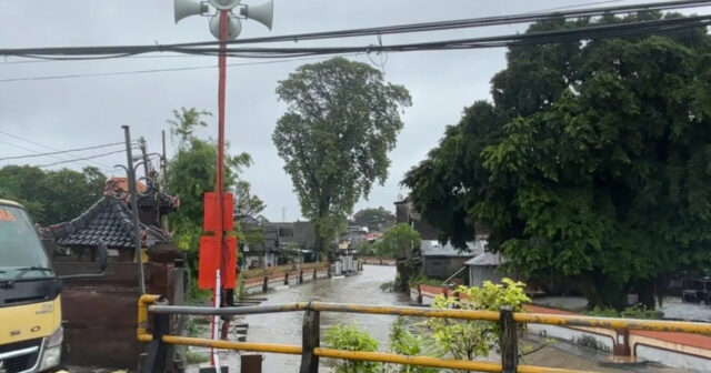 media-17719362361641529313_1200x630