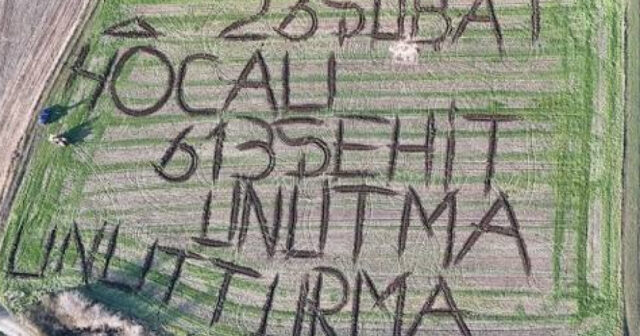 media-17719464095881564034_1200x630