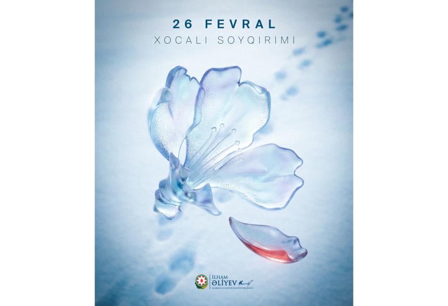 media-17720474285828830913_1200x630