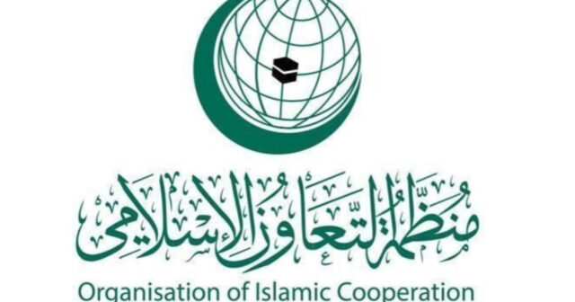 media-17720583784395259989_1200x630