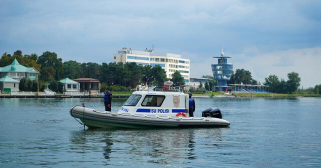 media-17720892463029360327_1200x630