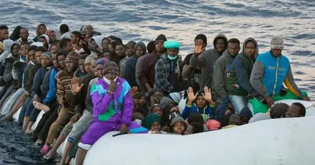 media-1772111466456213995_1200x630