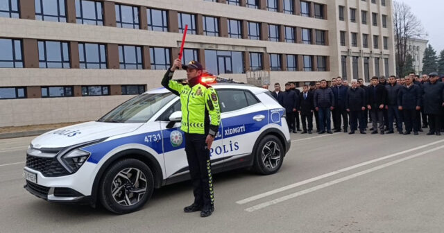 media-17721161305559523667_1200x630