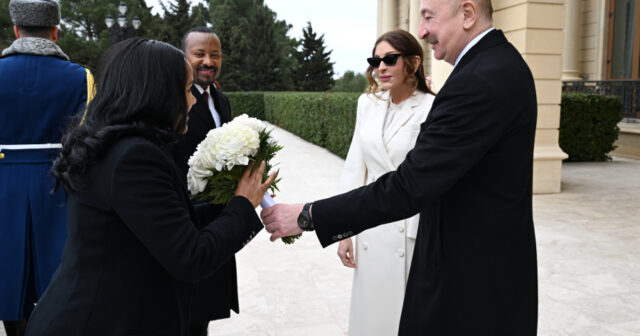 media-17721870816180938158_1200x630