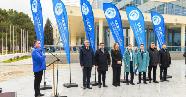 media-17722022094888456916_1200x630