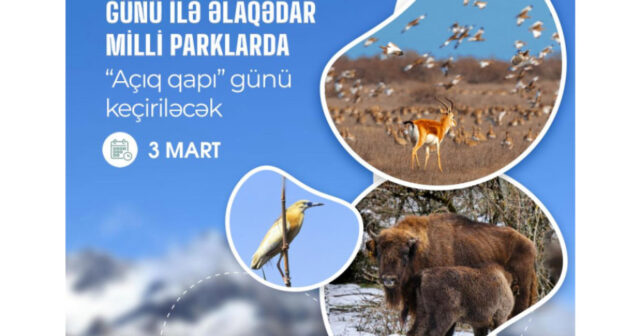 media-1772202907599736413_1200x630