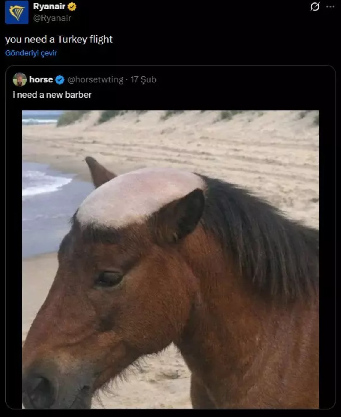 media-1b98a710-4642-46d5-ac2e-f7023bcffb52