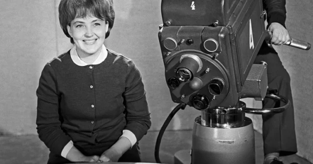 media-347701235095239