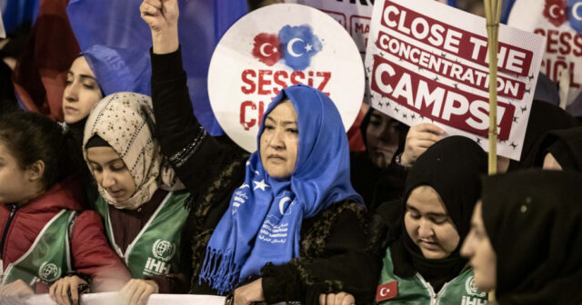 media-551a6d5f-5b64-40ac-897b-b5c1a7ee791a