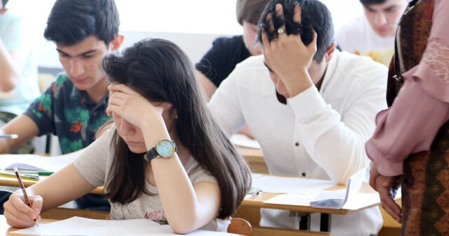 media-5652128e_4ff0_3769_a7cb_6046152ba062_850_1745071248