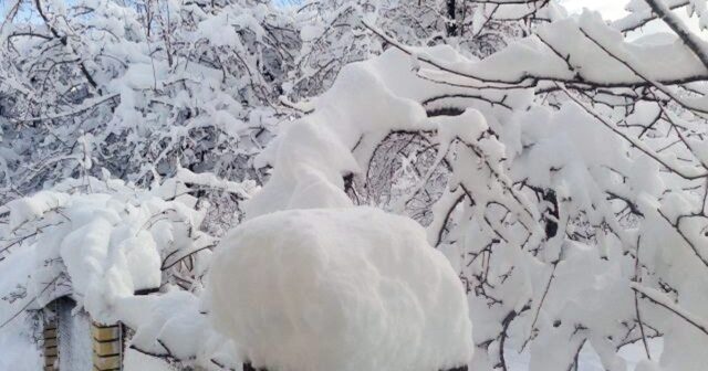 media-5bf7c0598d39d_trend_snow_lerik_041215_01