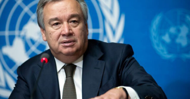 media-617fb2df18bae617fb2df18baf1635758815617fb2df18bab617fb2df18bad