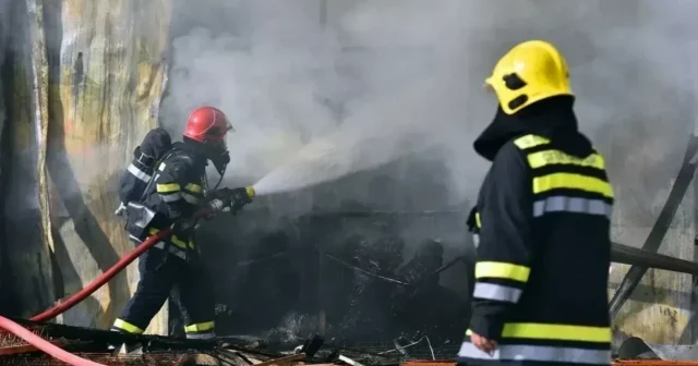 media-6987847a5c6bf6987847a5c6c017704889546987847a5c6bd6987847a5c6be