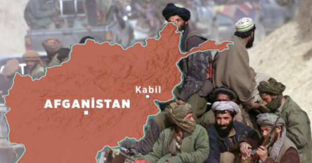 media-7666-1771751629