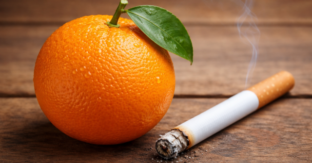 media-9715d8ef-d9ac-413f-a58e-12c27f91266f