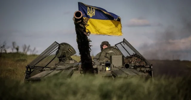 media-97c503317f062693a6205c2b6b82f20a