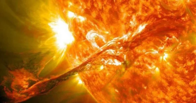 media-nxdm18u4426prm8dp8axlzcmjkrxwv54s8pcv0ee_1200