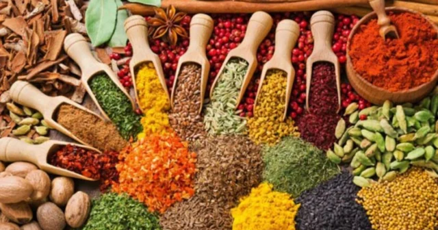 media-pllz8d8ugxbsz711441i4jwhjtlsxc7nx0vbnvte_1200