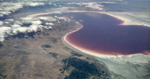 media-q78vy4jujsd9lzoewvhmrcmmcppqruamjmp8n1nu_1200