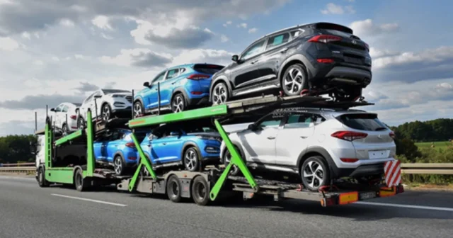 media-qrfcnlxfjqycb2aztxdkwbjjrkdgmni6mawyhzcq_1200