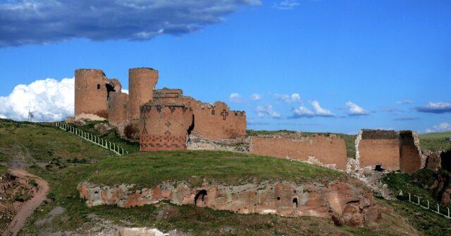 media-whatsapp-image-2026-02-03-at-13-03-59-3