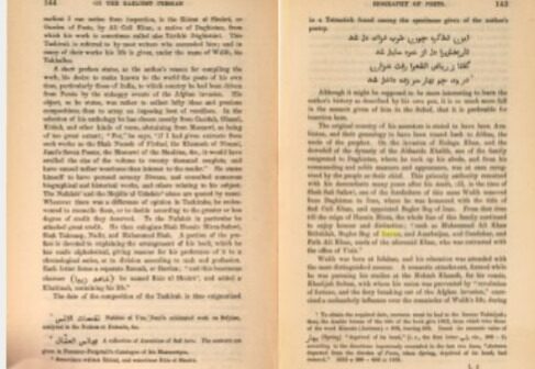 media-whatsapp-image-2026-02-03-at-13-03-59